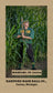 2022 Vintage Baseball Trading Card Set - FREE